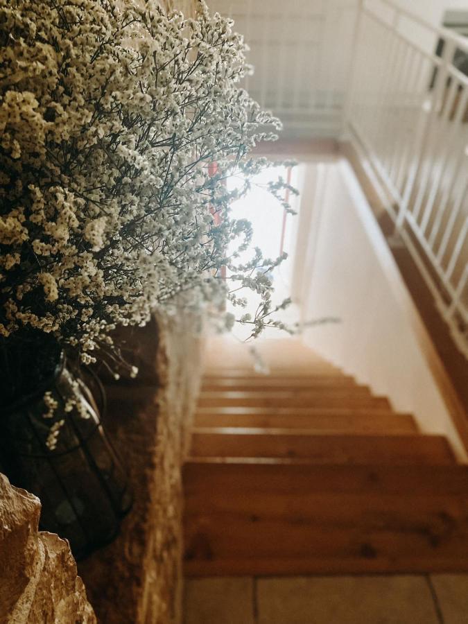 B&B Marnudd Bisceglie Exteriér fotografie