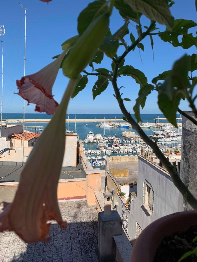 B&B Marnudd Bisceglie Exteriér fotografie